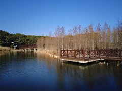 -同里国家湿地公园