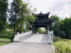 -梁鸿国家湿地公园