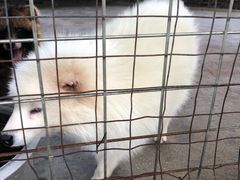 -田园寨农园观光园