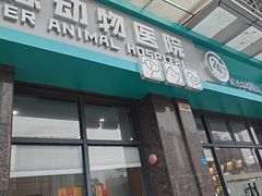 -立德动物医院·重症转诊·24H夜诊·CT·心脏彩超(顺德中心分院)