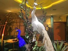 -泰谷玲抓龙筋SPA·泰式按摩(五一广场店)
