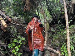 -峡谷浮石林景区