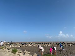 -南汇嘴观海公园