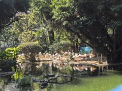-九龙公园