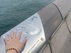 -星光大道