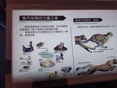-天津自然博物馆