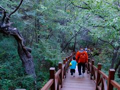 -大岭沟猕猴桃谷风景区