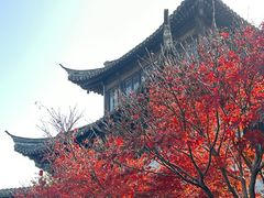 -口岸雕花楼