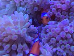 -多彩贵州城极地海洋世界