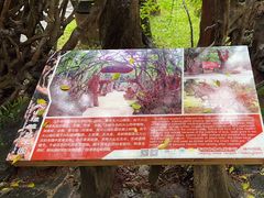 -海口火山口国家地质公园