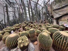 -南山植物园