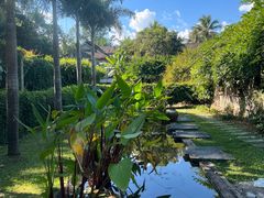 -中国科学院西双版纳热带植物园