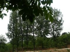 android_upload_pic-古韵山庄