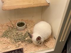 -龙猫仔乐园(惠福东路店)