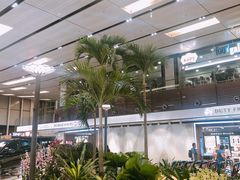 -樟宜机场免税店