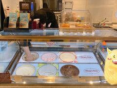 -哈根达斯(合肥万科广场店)