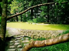 -成都市活水公园