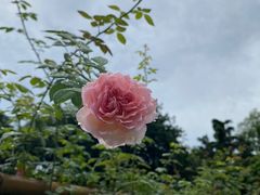 -人民公园(罗湖区)