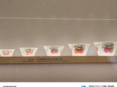 -四川大学博物馆