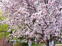 -元大都城垣遗址公园