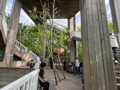 -帽儿山国家森林公园