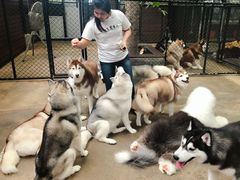 -TrueLove @ Neverland (Husky Cafe)