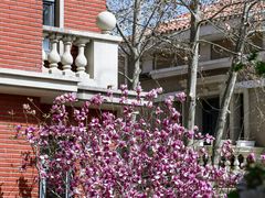 -天津五大道文化旅游区