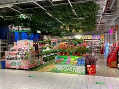 -大润发(高鑫广场店)