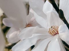 -上海辰山植物园