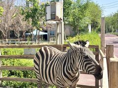 -水上乐园·欢乐世界