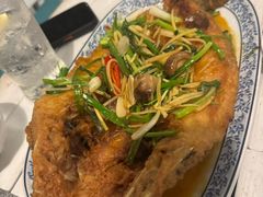-卷心菜和避孕套餐厅(Pattaya)
