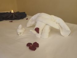 点击看大图 -隐逸SPA
