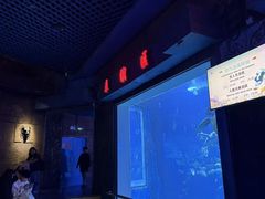 -太平洋海底世界