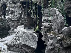 -个园