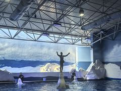 -秦皇岛乐岛海洋王国