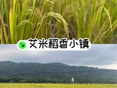-艾米稻香小镇