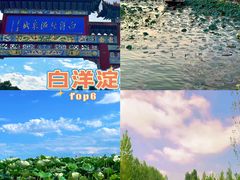 -莲池书院博物馆