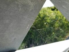 -维乐口腔医院(星海湾分院)