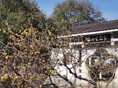 -无锡梅园公园