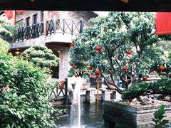 -猪肉婆私房菜(容桂总店)
