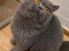 -客栈猫舍(中央北路店)