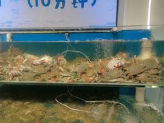 -仙螺岛海鲜自助餐厅(总店)
