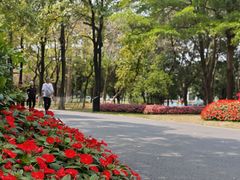 -海珠湖公园