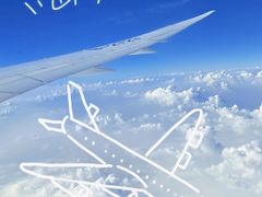 -海南海航航空信息系统公司