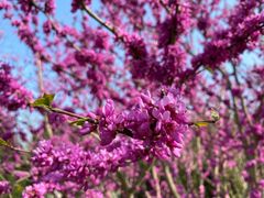 -合肥三国新城遗址公园