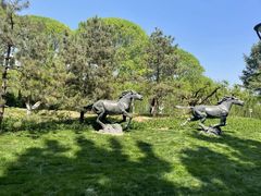 -元大都城垣遗址公园