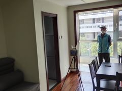 -Liteclear日本进口强效除甲醛检测治理(旗舰店)