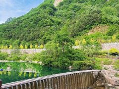 -王莽岭风景区