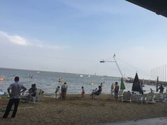 -碧海金沙
