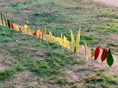 -艾溪湖湿地公园